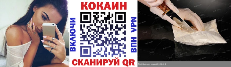 Cocaine FishScale  Купить закладки  Новосиль 