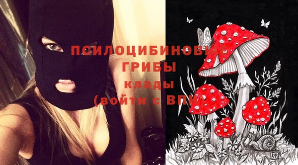 первитин Дмитровск