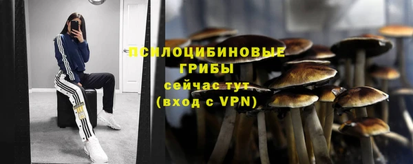 первитин Дмитровск