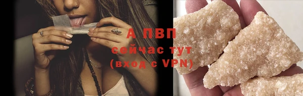 дмт Дмитров