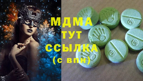 дмт Дмитров