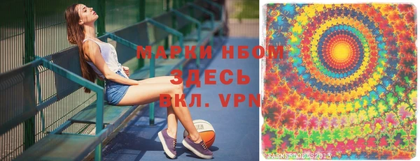 дмт Дмитров