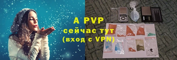 дмт Дмитров