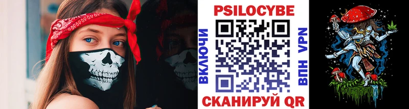 Псилоцибиновые грибы мицелий  Купить закладки  Новосиль 